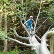 Geopark v Radv�novic�ch