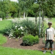 Botanicus Ostr�