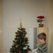 Zdob�m strome�ek