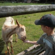 Botanicus Ostr�
