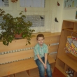 ve �kolce