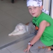 sou�asnost