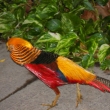 Tropical Islands