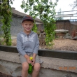 ZOO Hlubok�