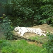 ZOO Liberec