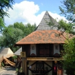 Botanicus Ostr�