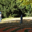 s t�tou v bludi�ti