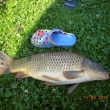 M��a se ho b�l, tak alespo� foto s botou :)