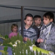 Vl��ky n�s bav�